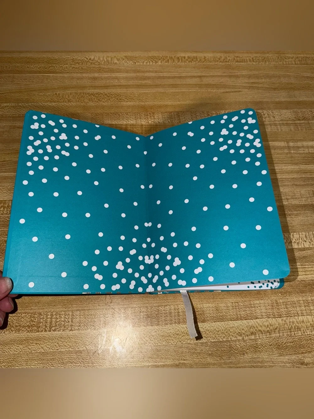 6x8 Teal Notebook with Metallic Polka Dots writing notes